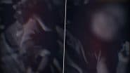 Hardoi Video: हैवान पिता की शर्मनाक करतूत! मासूम बच्ची को जमकर पीटा, पत्नी को मारपीट का वीडियो भी बनाकर भेजा, हरदोई जिले का वीडियो आया सामने