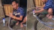 Man Gives Bath To King Cobra: खतरनाक विशाल किंग कोबरा को शैंपू लगाकर नहलाता दिखा शख्स, वीडियो देख रह जाएंगे दंग