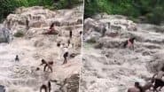 Bihar: गया में झरने पर घूमने गई 6 लड़कियां अचानक पानी के तेज बहाव में बही, पर्यटकों ने बचाई जान- देखें वीडियो