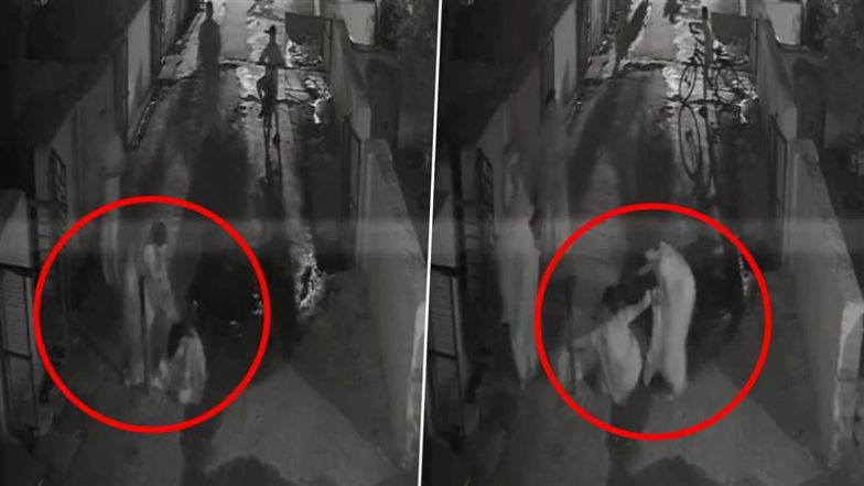 MP Shocker: ग्वालियर में गाली-गलौज का विरोध करने पर नशे में धुत व्यक्ति और उसकी पत्नी ने महिला को बेरहमी से पीटा और घसीटा; देखें विचलित करने वाला वीडियो