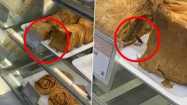 Cockroach Crawls Over Paneer Rolls: मुंबई के पॉपुलर बेकरी ब्रांड Theobroma आउटलेट में पनीर रोल पर रेंगता दिखा कॉकरोच, सोशल मीडिया पर वीडियो आया सामने (Watch Video) Cockroach Crawls Over Paneer Rolls: मुंबई के पॉपुलर बेकरी ब्रांड Theobroma आउटलेट में पनीर रोल पर रेंगता दिखा कॉकरोच, सोशल मीडिया पर वीडियो आया सामने (Watch Video)