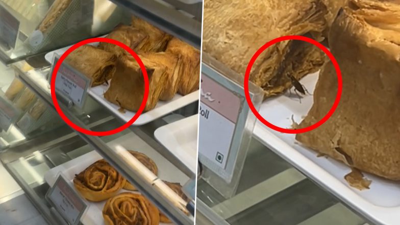 Cockroach Crawls Over Paneer Rolls: मुंबई के पॉपुलर बेकरी ब्रांड Theobroma आउटलेट में पनीर रोल पर रेंगता दिखा कॉकरोच, सोशल मीडिया पर वीडियो आया सामने (Watch Video)
