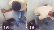 Pet Dog Beaten By Servant In Versova: लिफ्ट में घुसते ही पालतू कुत्ते को नौकर ने जमकर पीटा, वर्सोवा की घटना का वीडियो आया सामने;VIDEO
