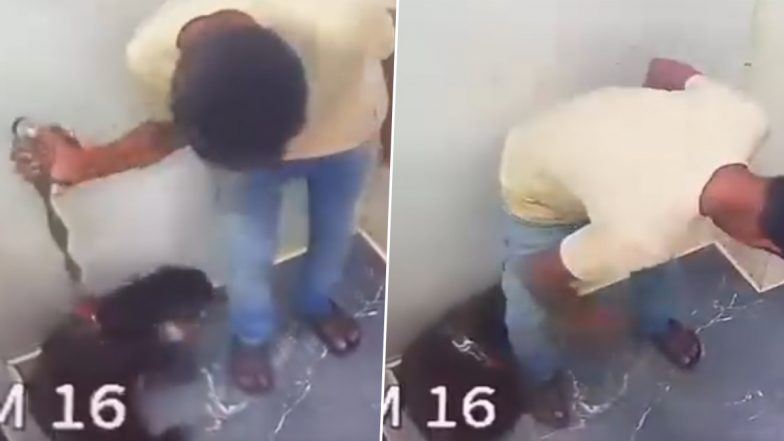 Pet Dog Beaten By Servant In Versova: लिफ्ट में घुसते ही पालतू कुत्ते को नौकर ने जमकर पीटा, वर्सोवा की घटना का वीडियो आया सामने;VIDEO