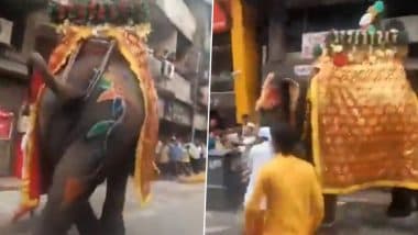 Ahmedabad: जगन्नाथ यात्रा के दौरान बेकाबू हुए 3 हाथी, DJ की तेज आवाज से बिगड़ा संतुलन; अफरातफरी में 4 लोग घायल (Watch Video)