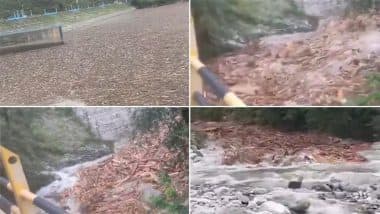 VIDEO: हिमाचल का 'पुष्पा' कौन? बादल फटते ही सामने आई वन माफिया की करतूत, डैम में लकड़ियों के ढेर ने खोली पोल VIDEO: हिमाचल का 'पुष्पा' कौन? बादल फटते ही सामने आई वन माफिया की करतूत, डैम में लकड़ियों के ढेर ने खोली पोल