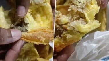 Insects Found in Samosas: लोगों के स्वास्थ के साथ खिलवाड़! पफ समोसे में निकले कीड़े, प्रेग्नेंट महिला की खाने के बाद बिगड़ी तबियत, धुले का वीडियो आया सामने (Watch Video) Insects Found in Samosas: लोगों के स्वास्थ के साथ खिलवाड़! पफ समोसे में निकले कीड़े, प्रेग्नेंट महिला की खाने के बाद बिगड़ी तबियत, धुले का वीडियो आया सामने (Watch Video)