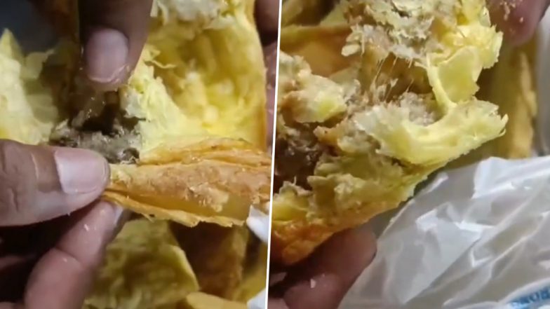 Insects Found in Samosas: लोगों के स्वास्थ के साथ खिलवाड़! पफ समोसे में निकले कीड़े, प्रेग्नेंट महिला की खाने के बाद बिगड़ी तबियत, धुले का वीडियो आया सामने (Watch Video)
