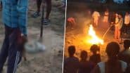 Agra Shocker: प्रजनन क्रिया में लीन था नाग-नागिन का जोड़ा, गांववालों ने लाठी-डंडों से पीटा और फिर जलाकर मार डाला; FIR दर्ज (Watch Video)