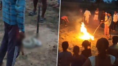 Agra Shocker: प्रजनन क्रिया में लीन था नाग-नागिन का जोड़ा, गांववालों ने लाठी-डंडों से पीटा और फिर जलाकर मार डाला; FIR दर्ज (Watch Video)