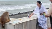 Mamata Banerjee Digha Beach: दीघा बीच पर ममता बनर्जी और बंदर की ‘बॉन्डिंग’, सोशल मीडिया पर वायरल हुई तस्वीरें!