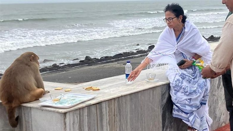 Mamata Banerjee Digha Beach: दीघा बीच पर ममता बनर्जी और बंदर की &lsquo;बॉन्डिंग&rsquo;, सोशल मीडिया पर वायरल हुई तस्वीरें!