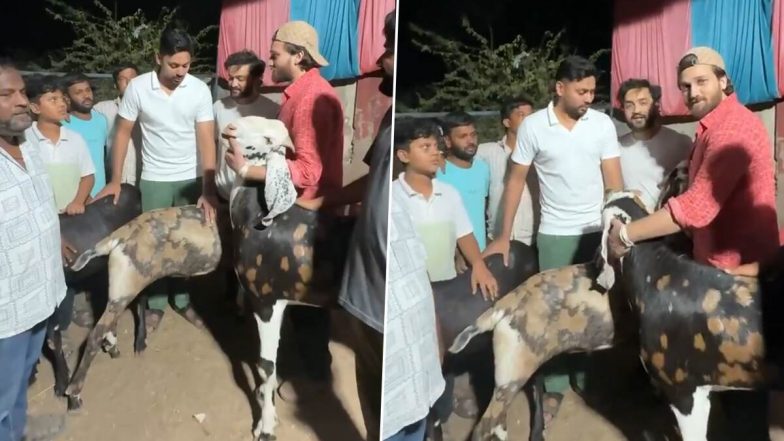Bakrid 2025: बकरा ईद पर टीम इंडिया के क्रिकेटर आवेश खान ने खरीदे 3 बकरा, वायरल हुआ वीडियो