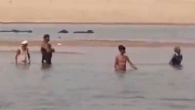 Crocodile Attacks Woman: मवेशियों को पानी पिलाने ले गई महिला पर मगरमच्छ का हमला, पानी में खींच ले गया, आगरा के चंबल नदी का वीडियो आया सामने (Watch Video) Crocodile Attacks Woman: मवेशियों को पानी पिलाने ले गई महिला पर मगरमच्छ का हमला, पानी में खींच ले गया, आगरा के चंबल नदी का वीडियो आया सामने (Watch Video)