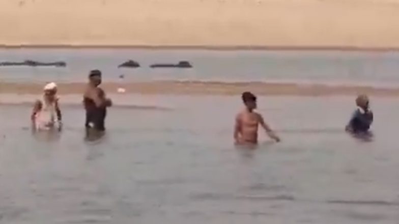 Crocodile Attacks Woman: मवेशियों को पानी पिलाने ले गई महिला पर मगरमच्छ का हमला, पानी में खींच ले गया, आगरा के चंबल नदी का वीडियो आया सामने (Watch Video)