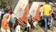 Diesel Looted in Sonbhadra: सोनभद्र में पलटा टैंकर, लोग बाल्टियां और डिब्बों में भरकर डीजल लूटकर ले गए, सोशल मीडिया पर वीडियो आया सामने (Watch Video)
