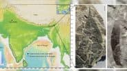 असम में मिला 2.4 करोड़ साल पुराना जीवाश्म, पश्चिमी घाट से चौंकाने वाला कनेक्शन!