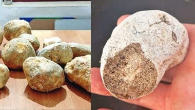 Whale Vomit Ambergris: गोवा में 10 करोड़ की 'व्हेल की उल्टी' के साथ 3 आरोपी गिरफ्तार, जानें क्यों होती है इतनी महंगी
