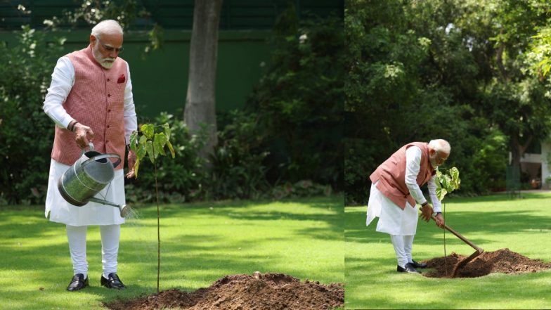 World Environment Day VIDEO: PM मोदी ने लगाया&nbsp;&lsquo;सिंदूर का पौधा&rsquo;,  पर बोले&ndash; ये नारीशक्ति के शौर्य का प्रतीक है