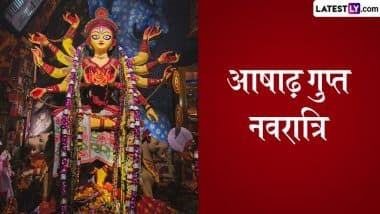 Gupt Navratri 2025 Remedies: तंत्र-साधना योग्य पुरोहित के मार्गदर्शन में ही करें! वरना हानि हो सकती है! जानें 10 महाविद्या एवं बीज-मंत्रों के चमत्कारिक विधान!