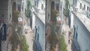 Unnao Bull Attack: यूपी के उन्नाव में आवारा सांड का आतंक, चाचा-भतीजे पर जानलेवा हमला, एक की मौत, दूसरा गंभीर रूप से घायल; VIDEO वायरल