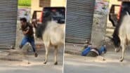 Viral Video: सड़क पर जा रहे शख्स को सांड ने सींग से उछालकर नाली में पटका, अगले ही पल हुआ कुछ ऐसा कि…