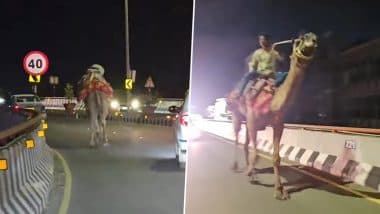 Viral Video: हैदराबाद हाईवे पर ऊंट की सवारी करता दिखा नशे में धुत व्यक्ति, हैरान करने वाला वीडियो हुआ वायरल Viral Video: हैदराबाद हाईवे पर ऊंट की सवारी करता दिखा नशे में धुत व्यक्ति, हैरान करने वाला वीडियो हुआ वायरल