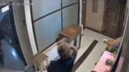 Mumbai Shocking Video: मुंबई के कांदिवली में दिल दहला देने वाली घटना, सिक्युरिटी गार्ड की पिटाई से डरकर 15वीं मंजिल से गिरा कुत्ता, मौके पर मौत