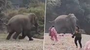 Viral Video: पिकनिक मनाने जंगल पहुंचे लोगों के बीच अचानक आ गया हाथी, डर के मारे इधर-उधर भागने लगे पर्यटक