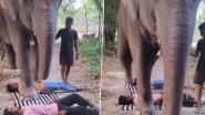 Viral Video: हाथी के सामने रास्ते में लेटकर लड़कों ने किया ऐसा काम, वीडियो देखकर दंग रह जाएंगे आप