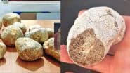 Whale Vomit Ambergris: गोवा में 10 करोड़ की 'व्हेल की उल्टी' के साथ 3 आरोपी गिरफ्तार, जानें क्यों होती है इतनी महंगी