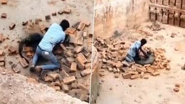 Viral Video: यूपी के लखीमपुर खीरी में खूंखार तेंदुए से भिड़ गया शख्स, मौत से खेलकर बचाई अपनी जान; अखिलेश यादव ने वीडियो शेयर कर BJP को घेरा