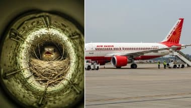 VIDEO: विमान के पंख में मिला चिड़िया का घोंसला, 3 घंटे लेट हुई एयर इंडिया की मुंबई-बैंकॉक फ्लाइट