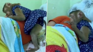 Viral Video: बीमार दोस्त की देखभाल करता दिखा पालतू बंदर, दोनों के अटूट बंधन को देख इमोशनल हुए लोग