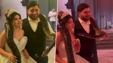 Viral Video: गले में लंबा सा अजगर लटका कर दूल्हा-दुल्हन पहुंचे मेहमानों के सामने, फिर अचानक हुआ कुछ ऐसा कि...