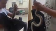 Viral Video: बैग में सांप को बंद करके डॉक्टर के पास पहुंचा शख्स, बोला- इसी ने काटा है, नागराज को देख अस्पताल में मचा हड़कंप