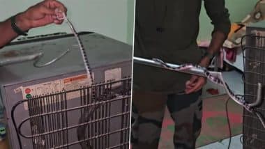 घर में रखे फ्रिज के पीछे से आ रही थी अजीबो-गरीब आवाज, नजारा देखकर घरवालों के उड़ गए होश (Watch Viral Video)