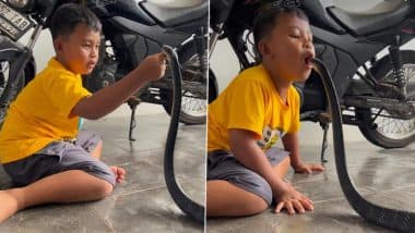 Viral Video: सांप के फन को अपने मुंह से लपकने की कोशिश करने लगा बच्चा, फिर जो हुआ… देखकर नहीं होगा यकीन