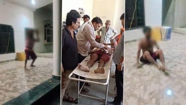 Viral Video: यूपी के गोंडा में नागिन डांस करने वाले युवक को सांप ने काटा, अस्पताल में कराया गया भर्ती