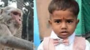 UP: बंदर भगाने के लिए फेंकी कुल्हाड़ी, गलती से कट गई इकलौते बेटे की गर्दन, मासूम बच्चे की मौत