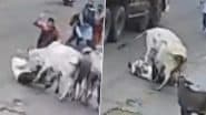 VIDEO: नासिक के कलवान में आवारा मवेशियों ने 85 वर्षीय बुजुर्ग को कुचलकर मार डाला, दिल दहला देने वाला वीडियो हुआ वायरल