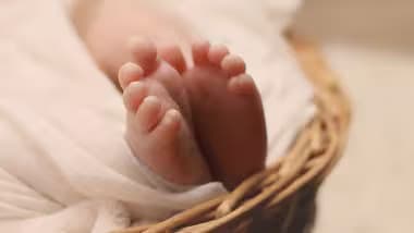Indore: मध्यप्रदेश के इंदौर जिले में अस्पताल में नवजात शिशु को मुंह में दबाकर ले जाता दिखा कुत्ता, जांच शुरू