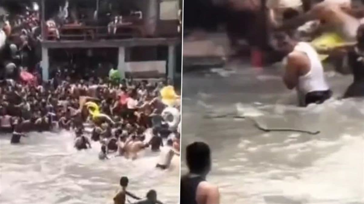Snake Enters Kempty Fall उत्तराखंड मसूरी केम्पटी फॉल में नहाते लोगों के बीच घुसा सांप - Video 6 Mussoorie: कैम्पटी फॉल में मस्ती में नहाते लोगों के बीच अचानक आ गया सांप, मची अफरा-तफरी; देखें Video | 👍 Latestly हिन्दी