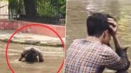 Viral Video: जयपुर में गरीब व्यक्ति का फोन पानी से भरी सड़क के खुले नाले में गिरा, रोते हुए शख्स का वीडियो वायरल
