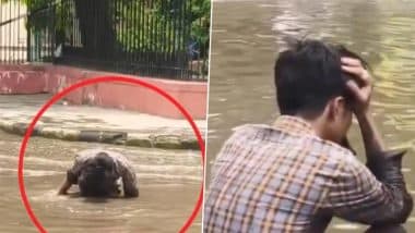 Viral Video: जयपुर में गरीब व्यक्ति का फोन पानी से भरी सड़क के खुले नाले में गिरा, रोते हुए शख्स का वीडियो वायरल