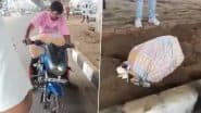 Woman’s Body in Sack: लुधियाना में आरती चौक के पास दो बाइक सवार बोरे में महिला का शव फेंककर फरार, जांच शुरू
