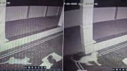 Leopard Attack VIDEO: कर्नाटक के मांड्या में तेंदुआ घर की दीवार फांदकर सो रहे पालतू कुत्ते को उठा ले गया, CCTV वीडियो वायरल