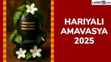 Hariyali Amavasya 2025: कब है हरियाली अमावस्या, इस दिन क्यों होता है पितरों का तर्पण? Hariyali Amavasya 2025: कब है हरियाली अमावस्या, इस दिन क्यों होता है पितरों का तर्पण?