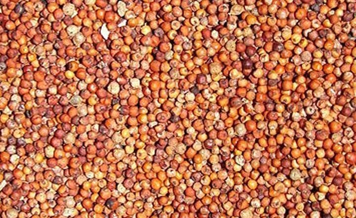 रागी से बनाएं ये 6 स्वादिष्ट और हेल्दी डिश