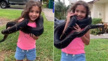 Snake Viral Video: अपनी गर्दन पर विशाल सांप लपेटकर घुमती दिखी छोटी बच्ची, वीडियो देख भड़के लोग Snake Viral Video: अपनी गर्दन पर विशाल सांप लपेटकर घुमती दिखी छोटी बच्ची, वीडियो देख भड़के लोग
